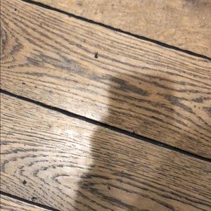 Meet your Posher, Colin